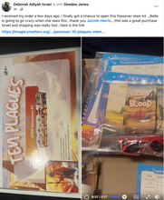 Load image into Gallery viewer, Ten Plagues STEM Adventure Kit